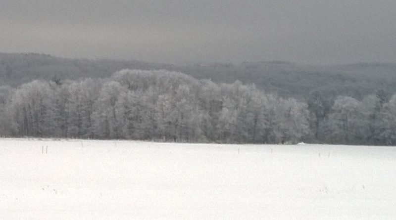 Hanshaw Rd Snow 02102015