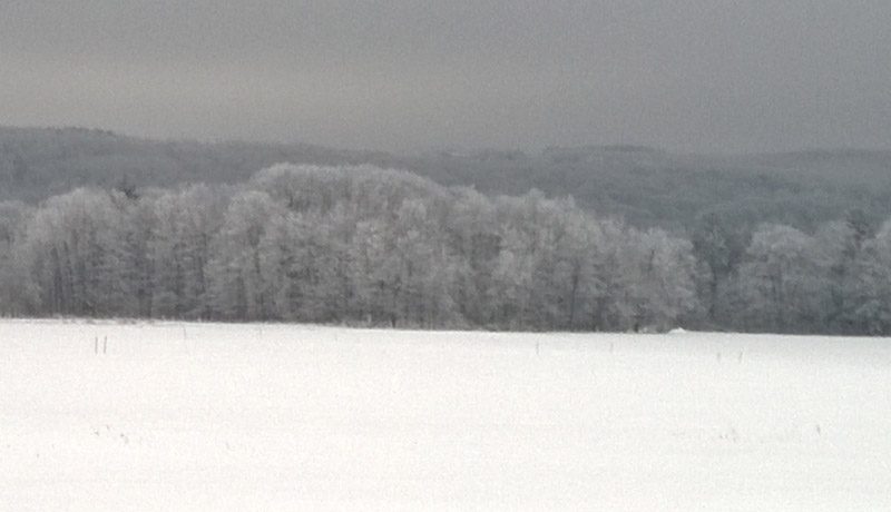 Hanshaw Rd Snow 02102015